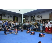 Expo Proyectos y Emprendimientos Empresariales 2017